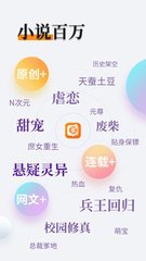 爱游戏APP官网罗马赞助